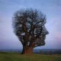 Tom Johnson Photo 10