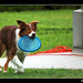 Paul Tucker Photo 15