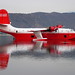 Jeff Lowe Photo 30