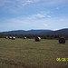 Ronnie Morris Photo 10