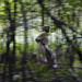 Nancy Palmieri Photo 18
