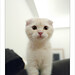 Max Sharp Photo 14