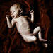 Micheal Lucas Photo 21