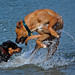 Steven Maier Photo 26