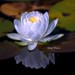 Kathy Whiting Photo 18