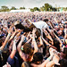 Edward Sharpe Photo 36