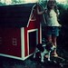 Angie Hogan Photo 31