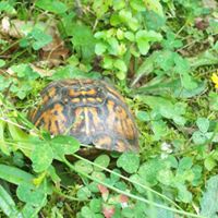 Karen Chappell Photo 27