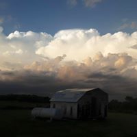 Mike Mclin Photo 4