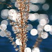 Ken Yu Photo 9