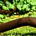 Stephen Greenleaf Photo 10