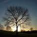 Matthew Platt Photo 32