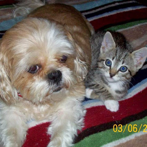 Annie Prather Photo 7