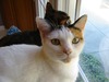Tracy Hooper Photo 44