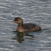 Bill Campbell Photo 14