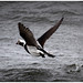 Sandy Long Photo 15