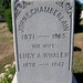 Catherine Chamberlain Photo 16