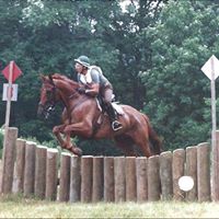 Robin Kew Photo 3
