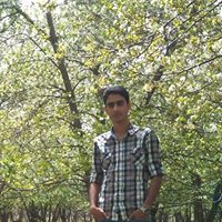 Omid Zamani Photo 16