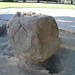 Walter Hays Photo 16