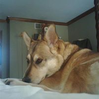 Karen Nagle Photo 27
