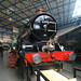 George King Photo 18