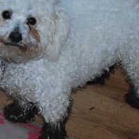 Daisy Bell Photo 7