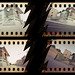 Steven Laws Photo 21