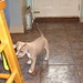 Shirley Ross Photo 14