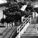 Michael Schafer Photo 24