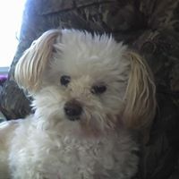 Jane Loper Photo 12