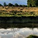 Angela Pond Photo 10