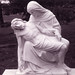 Joseph Deer Photo 14