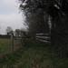 Robert Cole Photo 35