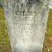 Carey Curtis Photo 7