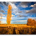 Mark Gillard Photo 31