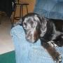 Calvin Carr Photo 29