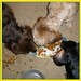 Dean Rice Photo 29