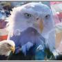 Roger Bridges Photo 17