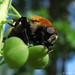 Jonathan Enns Photo 12