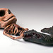Douglas Mattson Photo 13
