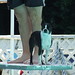 Louise Jenkins Photo 6