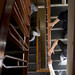 David Hight Photo 20