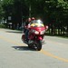 Terry Elkins Photo 8