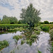 Kent Stevens Photo 18