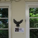 Robert Rowley Photo 26