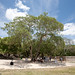 Mark Plaza Photo 14