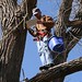 Jay Yoder Photo 22