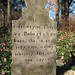 Thomas Arrington Photo 10