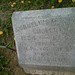 Mary Cornelius Photo 15